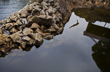 Red Bull Cliff Diving 2010