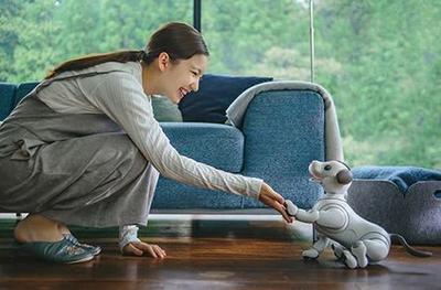 Sony "" - "Aibo" ()